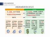 被动运输PPT课件免费下载