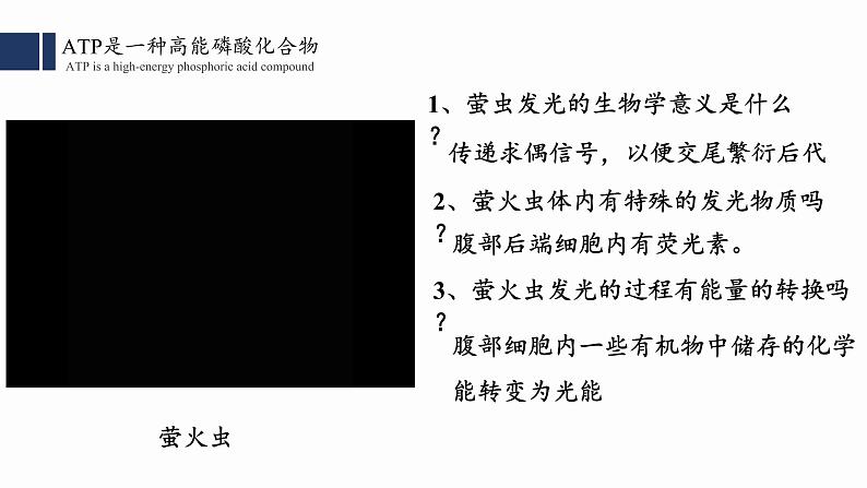 5.2 细胞的能量“货币”ATP课件PPT02