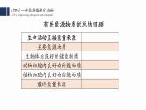 5.2 细胞的能量“货币”ATP课件PPT