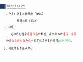 2.5.核酸是遗传信息的携带者课件PPT