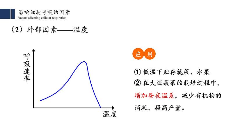 5.3.2 细胞呼吸的原理和应用 课件PPT07