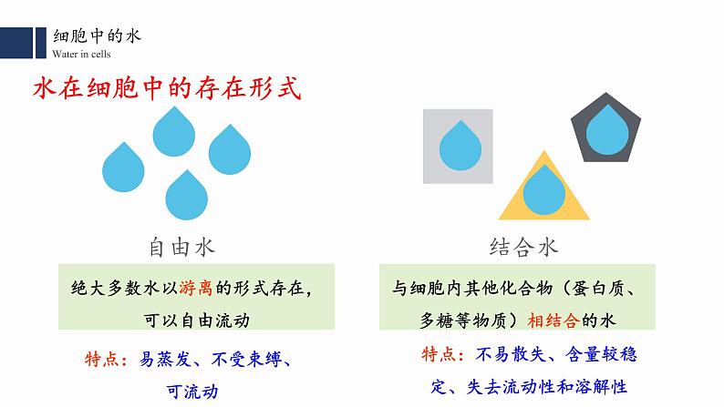 2.2.细胞中的无机物课件PPT第7页