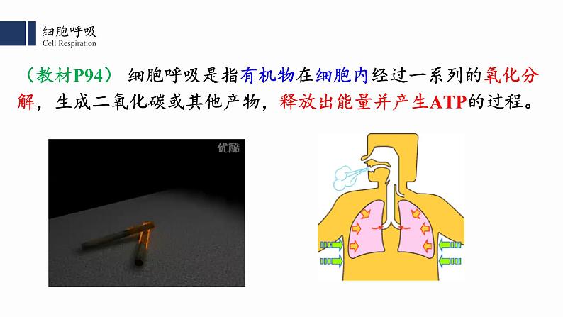 细胞呼吸的原理和应用PPT课件免费下载03