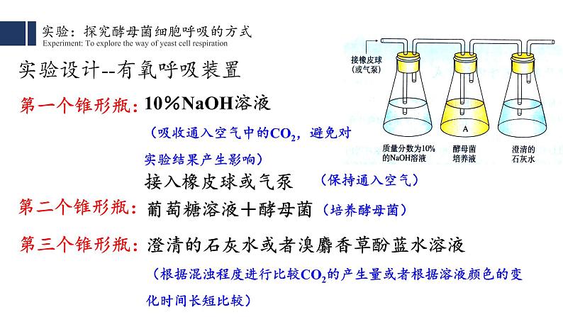 细胞呼吸的原理和应用PPT课件免费下载08