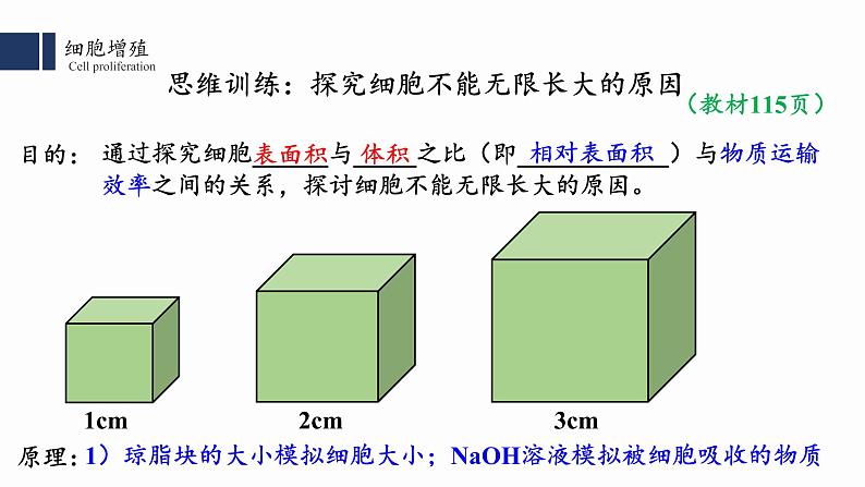 6.1.1 细胞的增殖课件PPT第4页