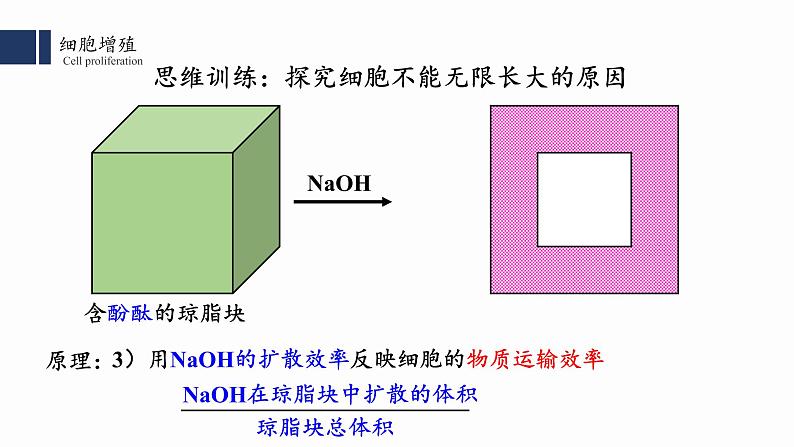 6.1.1 细胞的增殖课件PPT第6页