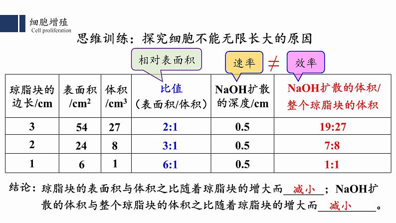 6.1.1 细胞的增殖课件PPT第8页