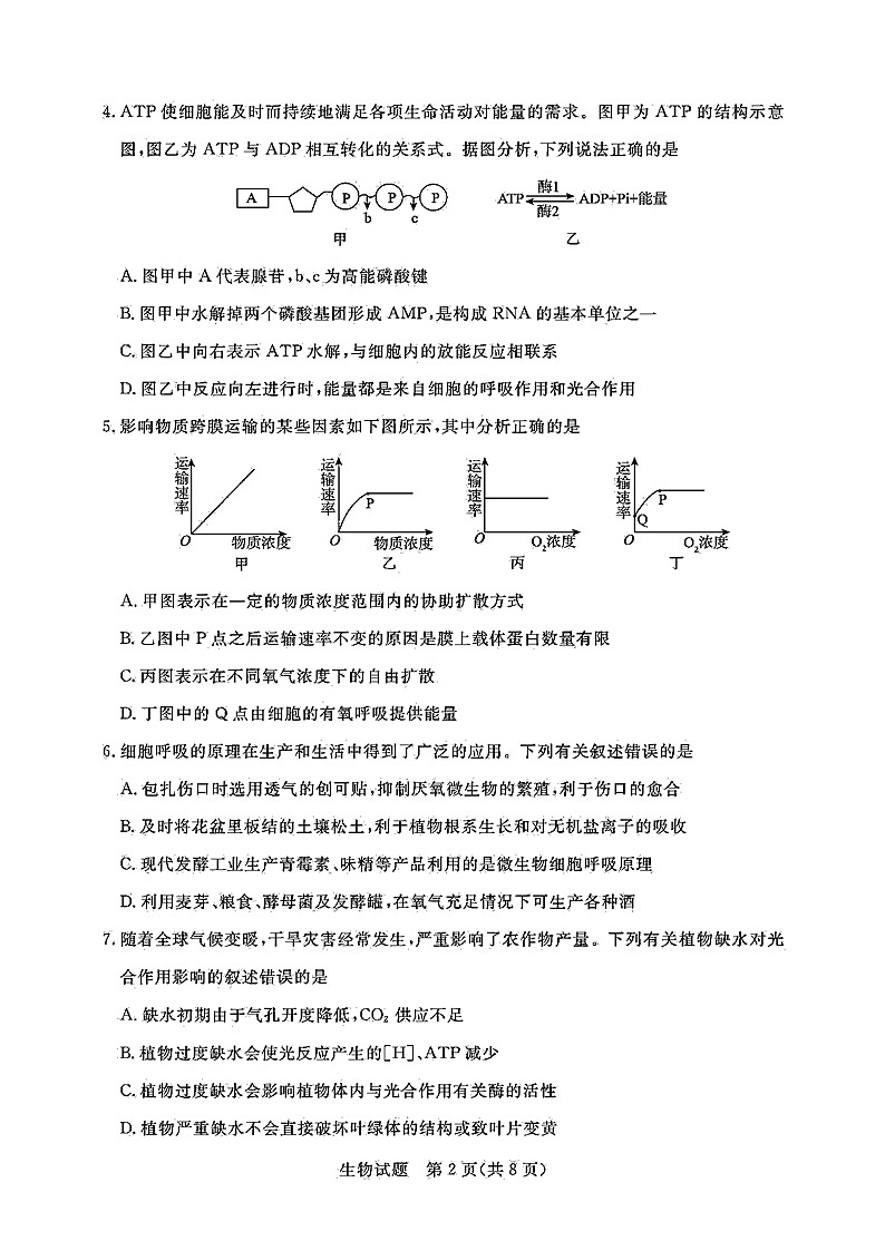 广东省肇庆市2021届高三二模生物试题(含答案解析)02