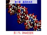 高中生物人教新课标必修二 3.3 DNA复制课件PPT