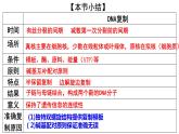高中生物人教新課標(biāo)必修二 3.3 DNA復(fù)制課件PPT
