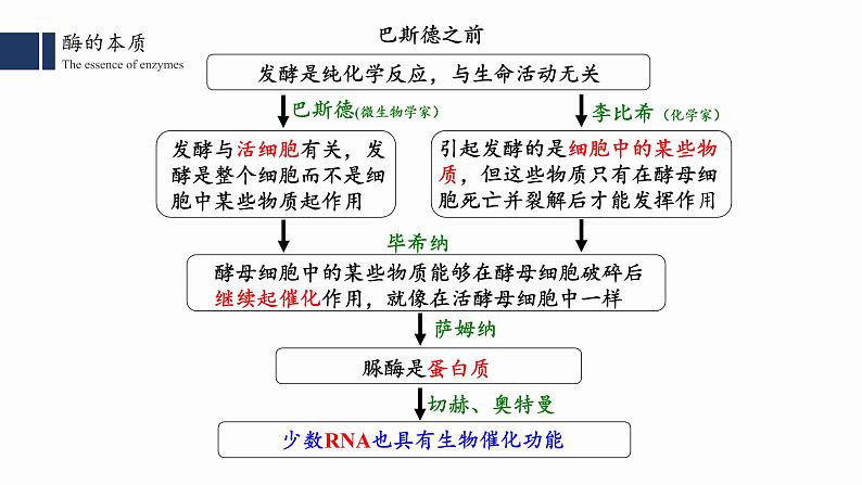 高中生物人教版2019必修一5.1.1 降低化学反应活化能的酶课件PPT07