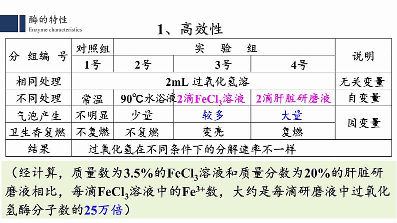 高中生物人教版2019必修一5.1.2 降低化学反应活化能的酶课件PPT第2页