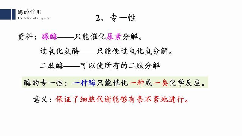 高中生物人教版2019必修一5.1.2 降低化学反应活化能的酶课件PPT第5页