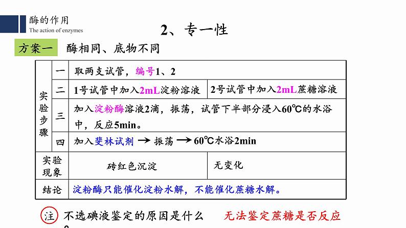 高中生物人教版2019必修一5.1.2 降低化学反应活化能的酶课件PPT第8页