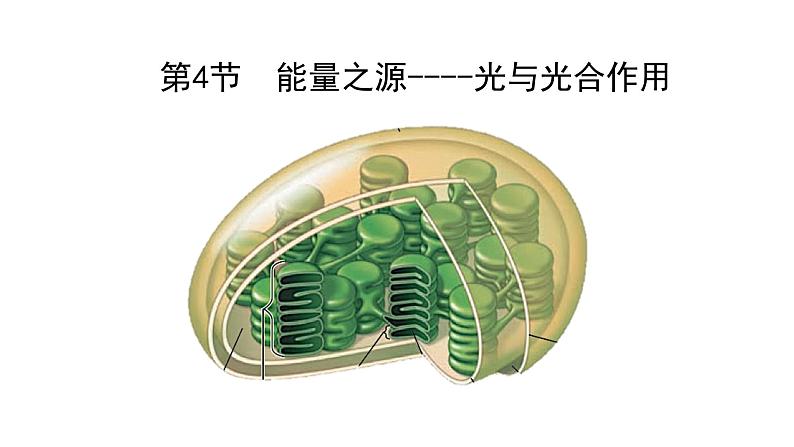 人教版2019必修一 5.4 光合作用与能量转化课件PPT01