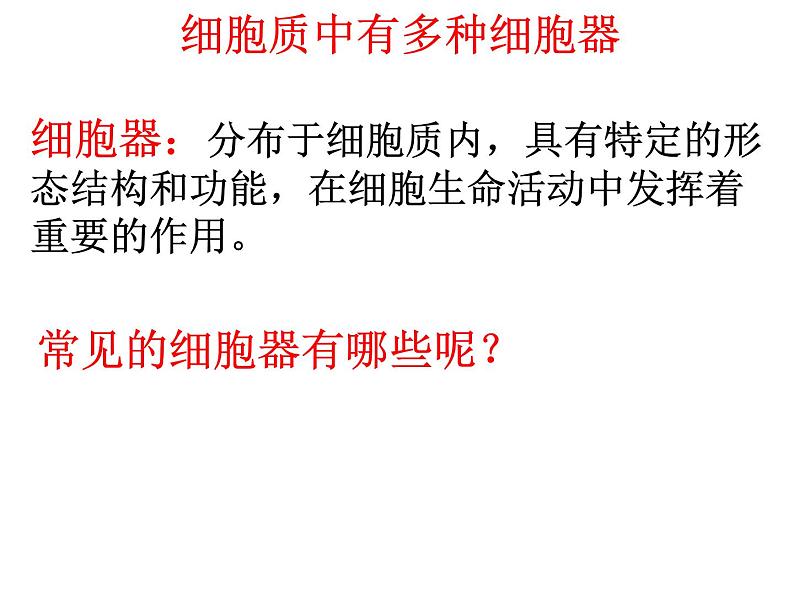 细胞质是多项生命活动的场所PPT课件免费下载03