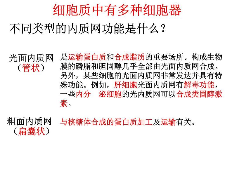 细胞质是多项生命活动的场所PPT课件免费下载08