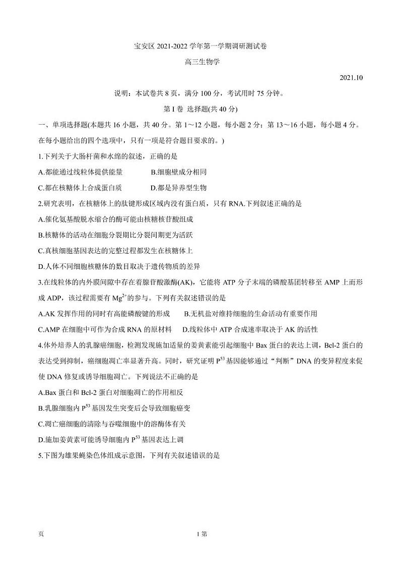 2022届广东省深圳市宝安区高三上学期10月调研测试 生物（PDF版含答案）01