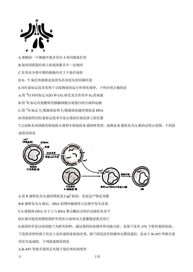 2022届广东省深圳市宝安区高三上学期10月调研测试 生物（PDF版含答案）02