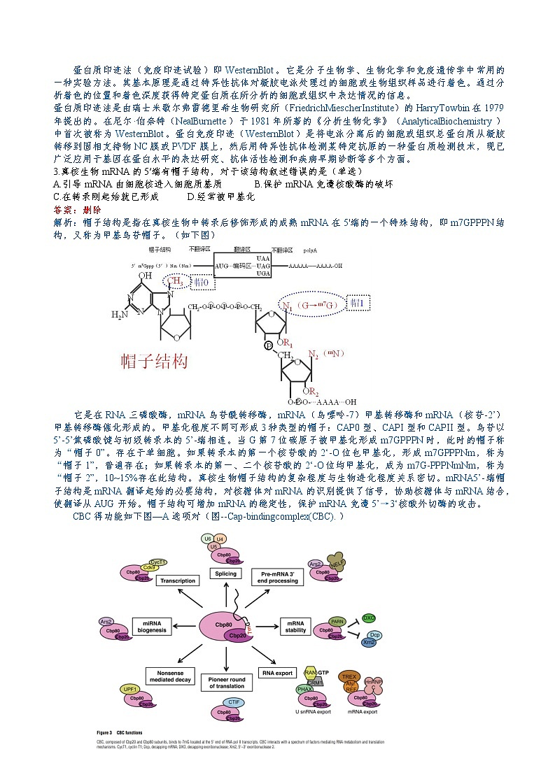 2018年全国中学生生物联赛试题及答案02