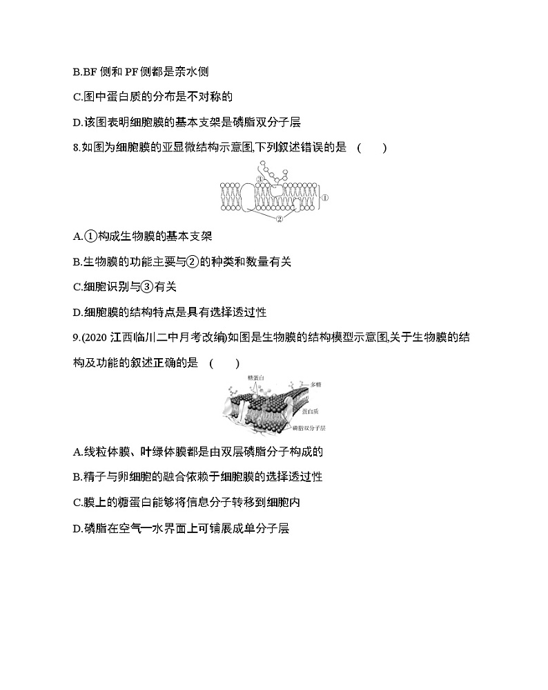 2_第2节 生物膜的流动镶嵌模型练习题03