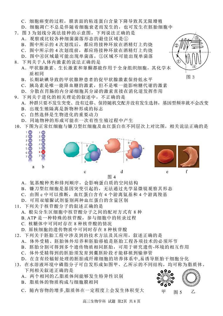 浙江省七彩阳光新高考研究联盟2022届高三上学期11月期中联考生物试题PDF版含答案02