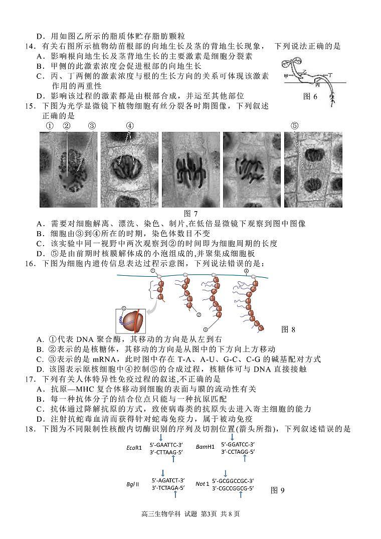 浙江省七彩阳光新高考研究联盟2022届高三上学期11月期中联考生物试题PDF版含答案03