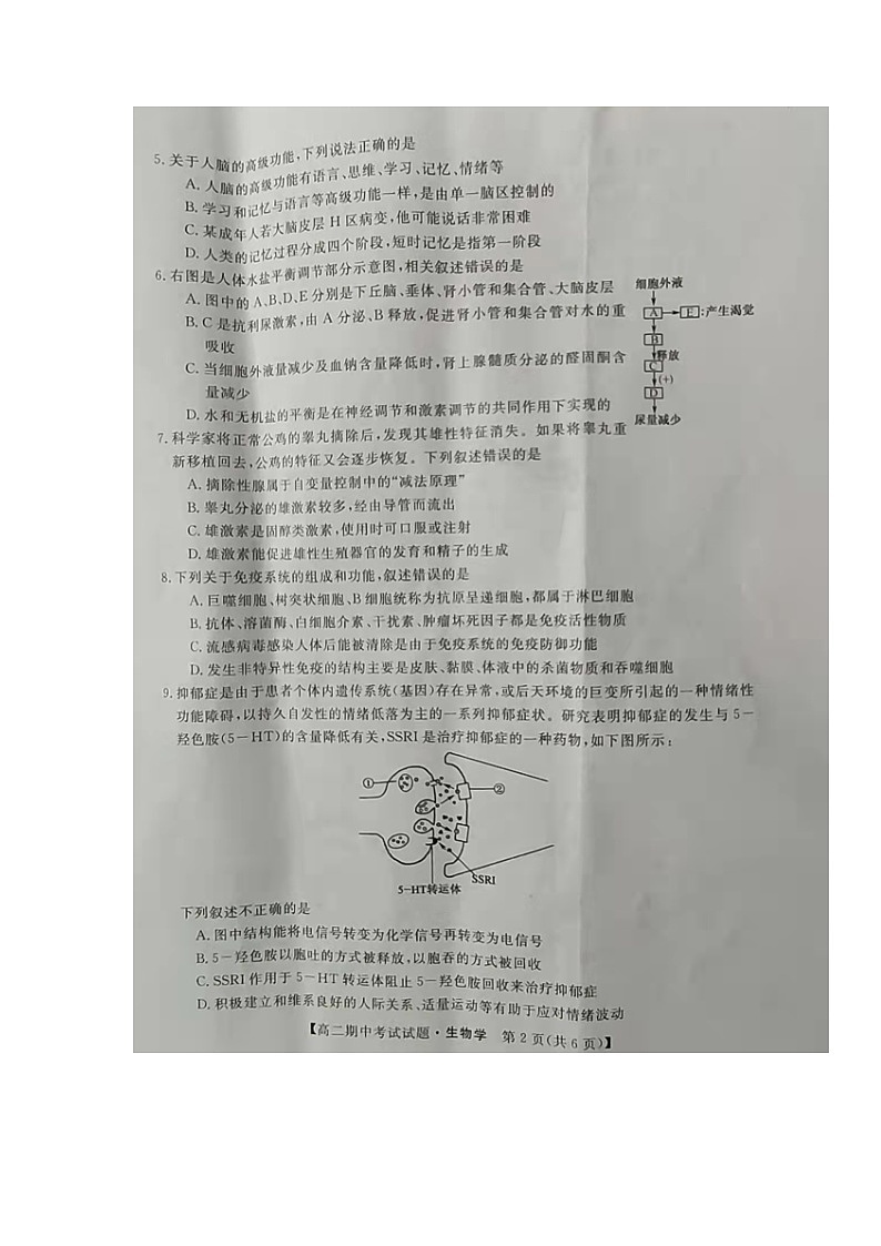 湖南省三湘名校教育联盟2021-2022学年高二上学期期中考试生物试题图片版含答案02