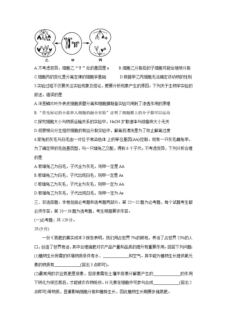 2022届四川省绵阳市高三一诊考试（11月）生物试卷含答案02