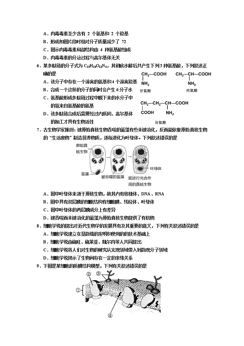 浙江省浙北G2（湖州中学、嘉兴一中）2021-2022学年高一上学期期中联考生物试题含答案第2页