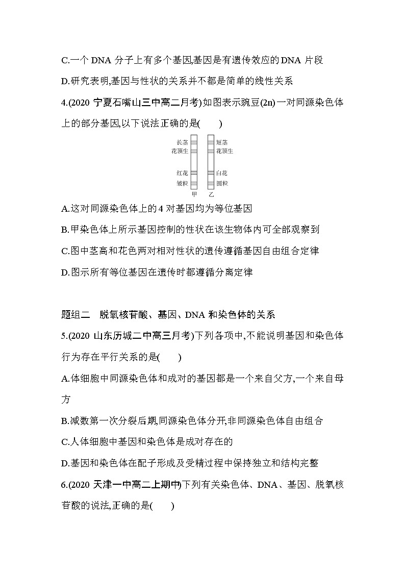 第4节基因是有遗传效应的DNA片段练习题02