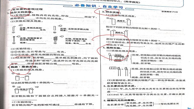 3.1 植物生长素的发现 课件 2020-2021学年人教版高二生物必修三第2页