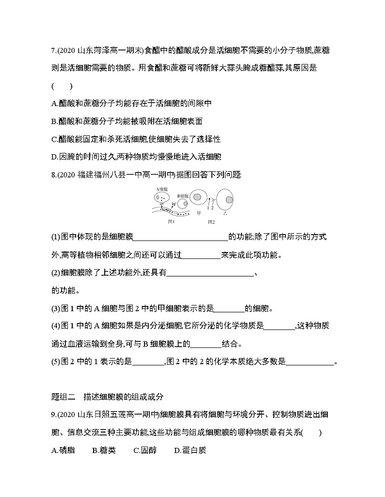 第1节　细胞膜的结构和功能练习题03