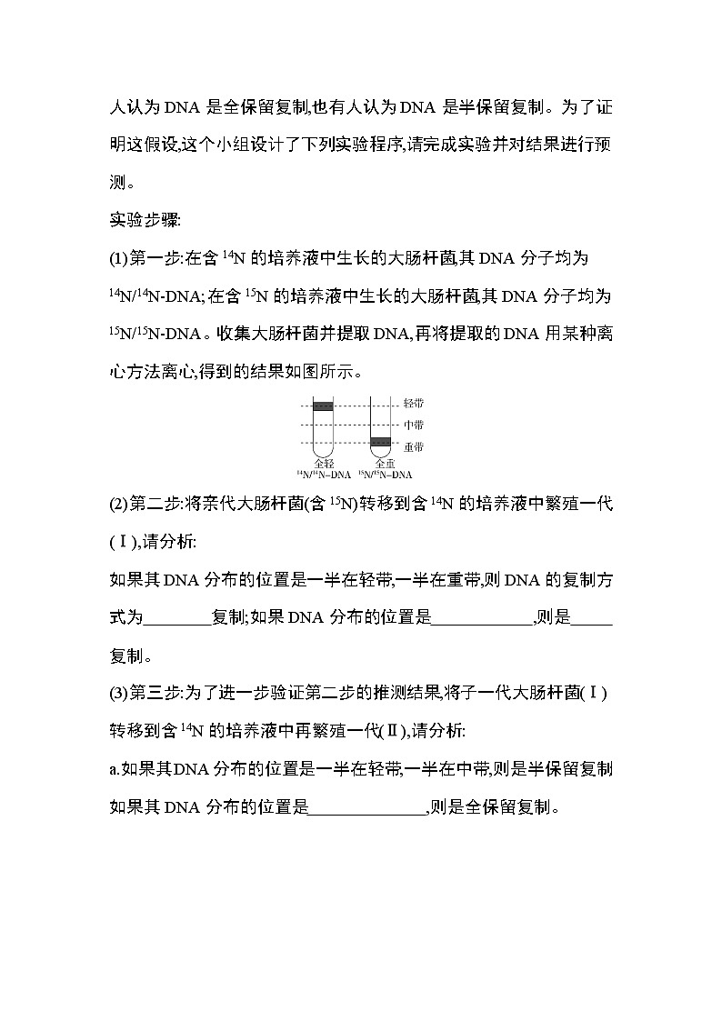 第3节　DNA的复制练习题02