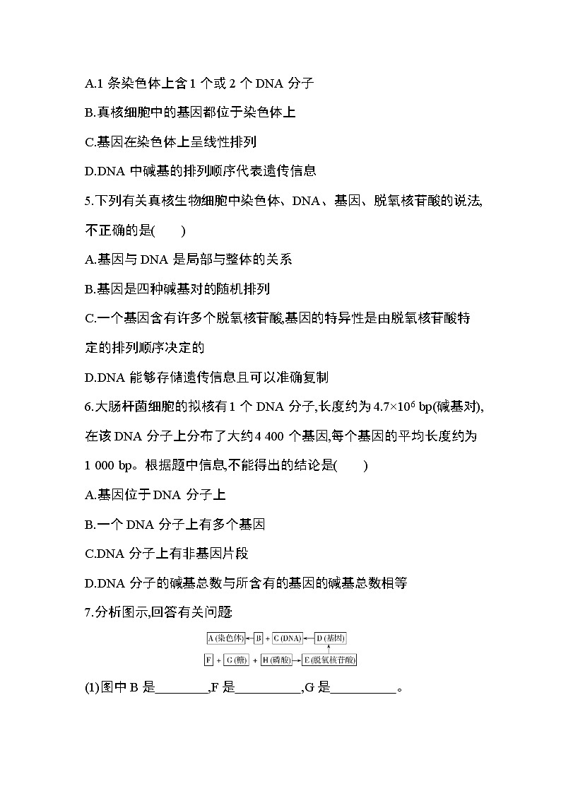 第4节　基因通常是有遗传效应的DNA片段练习题第2页