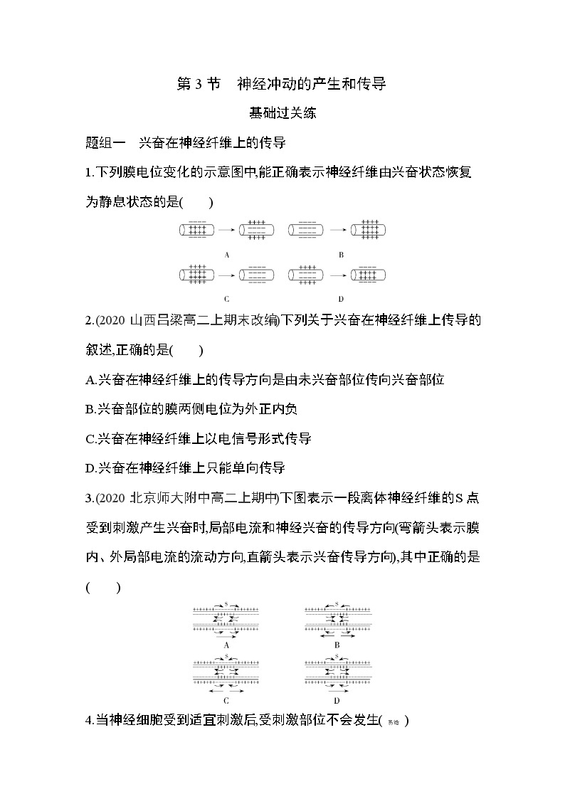 第3节　神经冲动的产生和传导练习题01