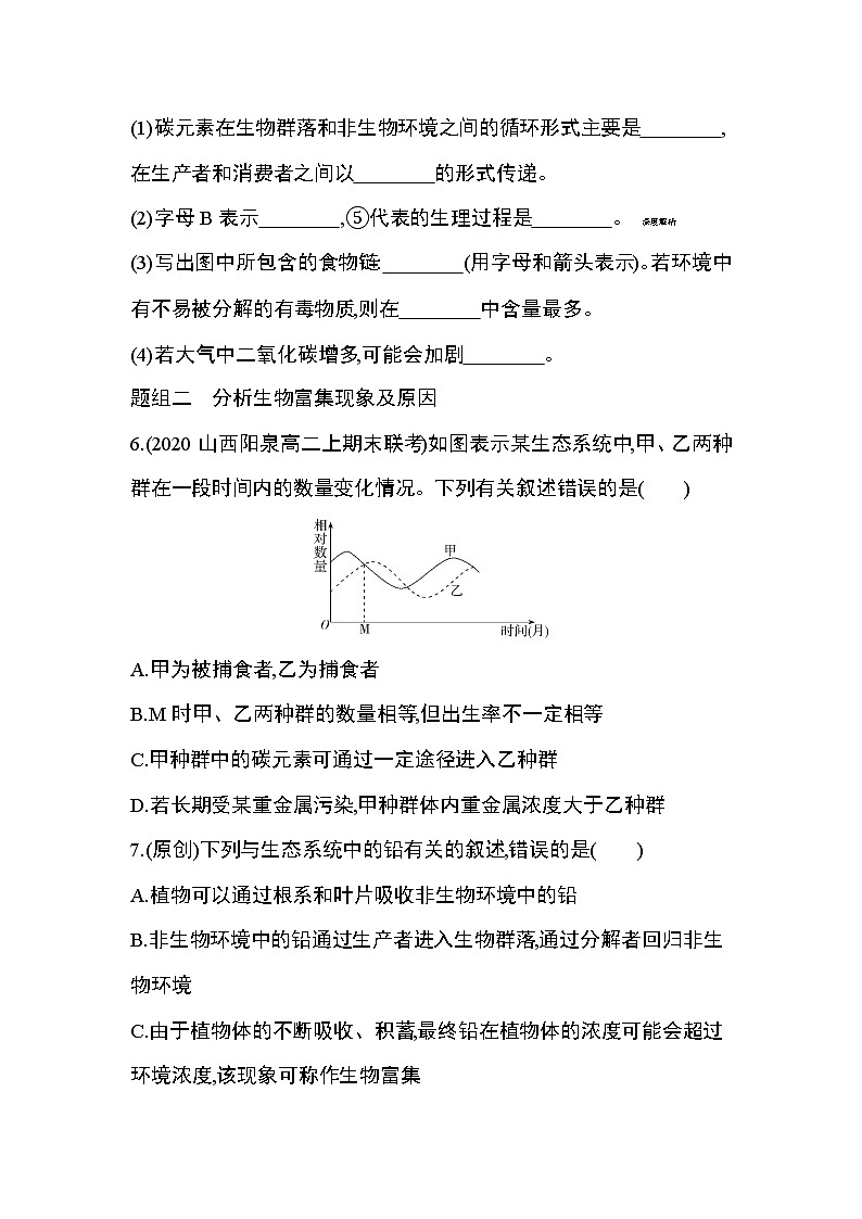 第3节　生态系统的物质循环练习题03