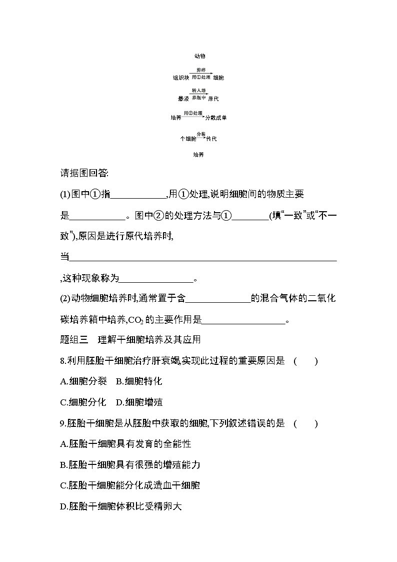 第2节第1课时　动物细胞培养练习题03