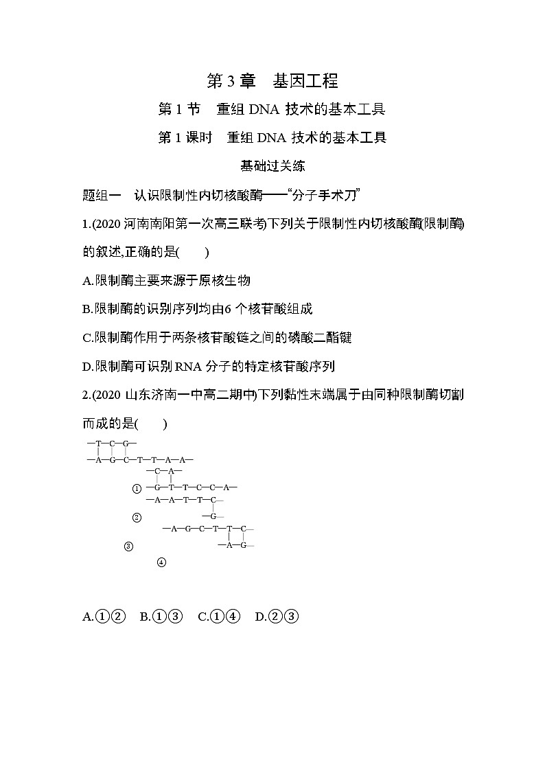 第1节第1课时　重组DNA技术的基本工具练习题01