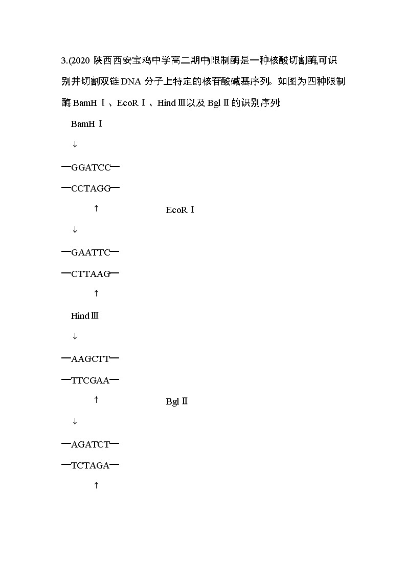 第1节第1课时　重组DNA技术的基本工具练习题02