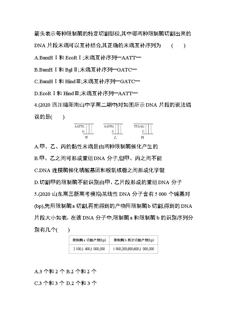 第1节第1课时　重组DNA技术的基本工具练习题03
