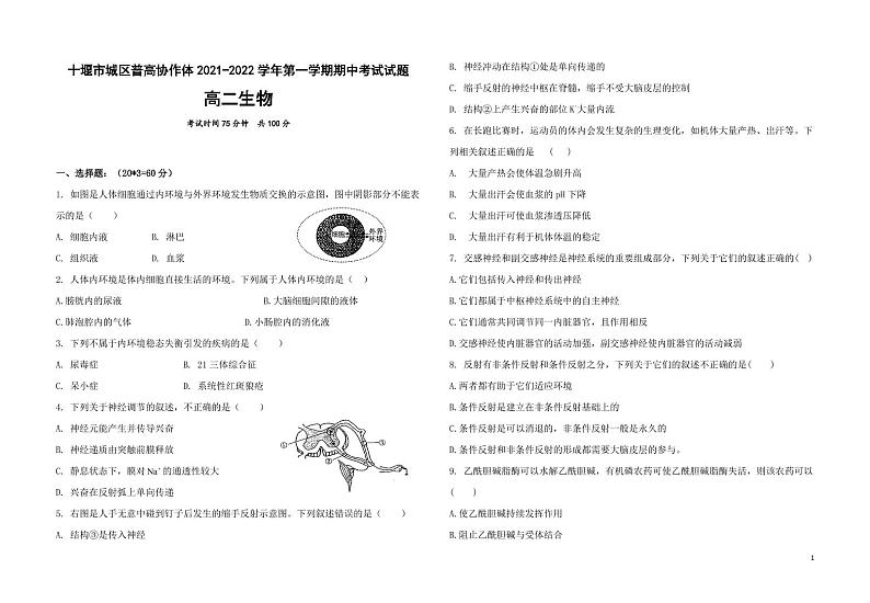 湖北省十堰市城区普高协作体2021-2022学年高二上学期期中考试生物试题第1页