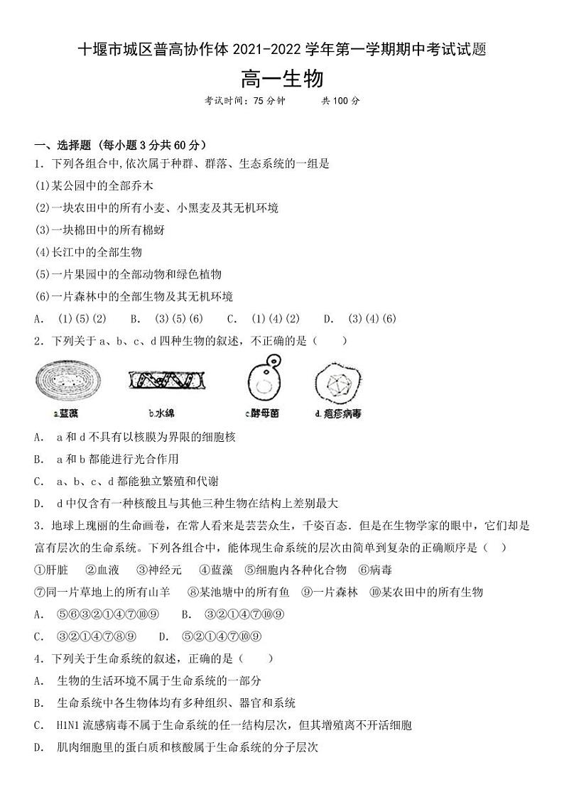 湖北省十堰市城区普高协作体2021-2022学年高一上学期期中考试生物试题PDF版含答案01