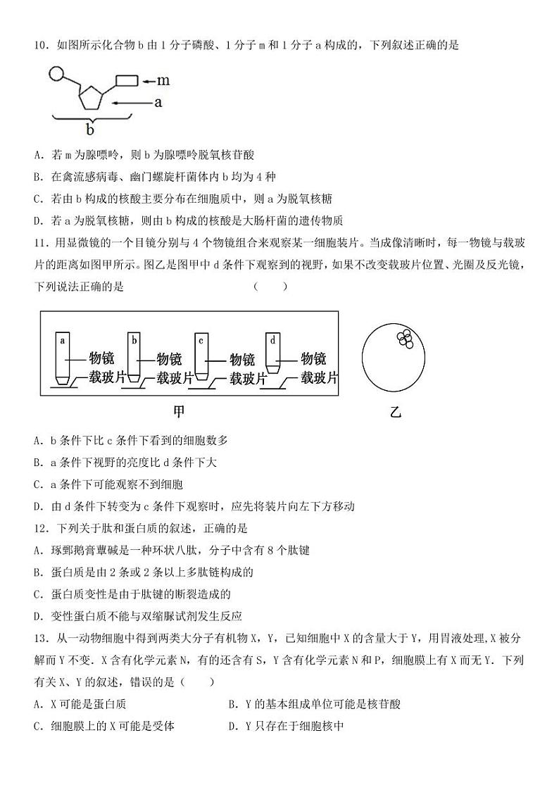 湖北省十堰市城区普高协作体2021-2022学年高一上学期期中考试生物试题PDF版含答案03