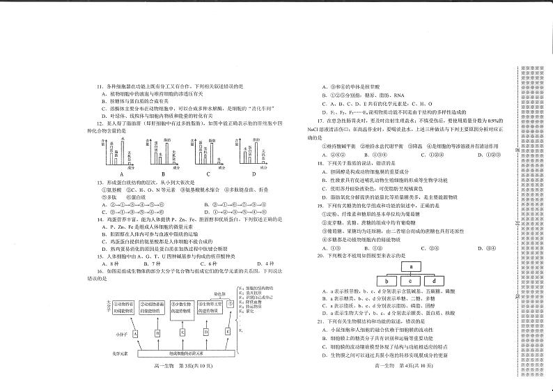河南省南阳市2021-2022学年高一上学期期中考试生物试题PDF版含答案02