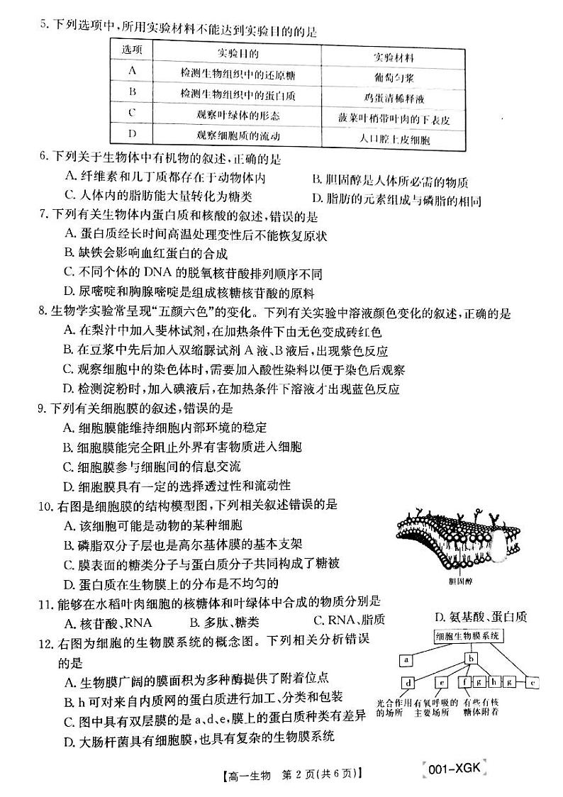 甘肃省靖远县部分学校联考2021-2022学年高一上学期期中生物试题第2页