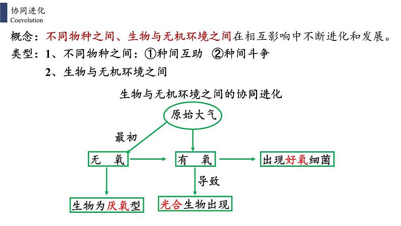 6.4  协同进化与生物多样性的形成课件PPT06