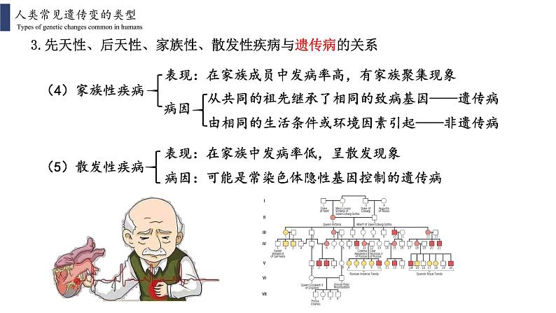 5.3  人类遗传病课件PPT04