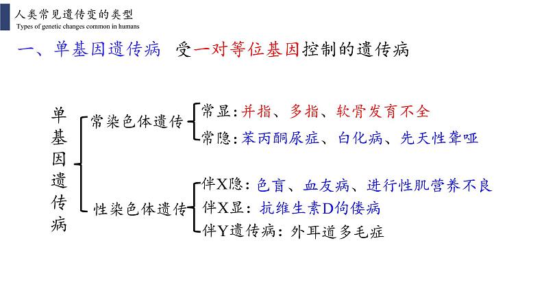 5.3  人类遗传病课件PPT05