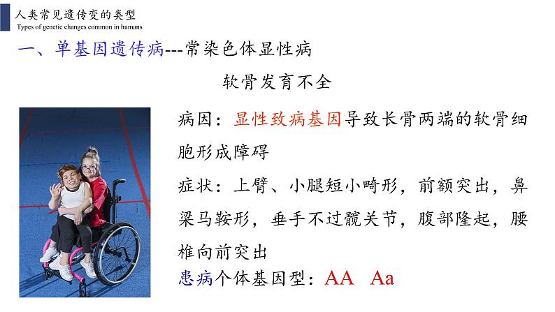 5.3  人类遗传病课件PPT08